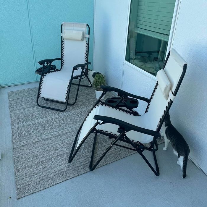 Two patio chairs placed on a rug with a cat lounging nearby, perfect for those shopping for outdoor relaxation solutions
