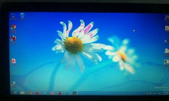 Kiểm tra màn hình laptop bị bóng mờ