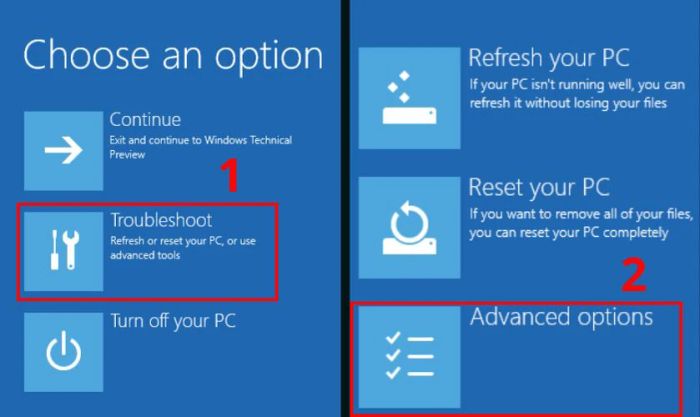 Nhấn vào Troubleshoot và chọn Advanced options