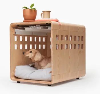 A small dog resting inside the crate.