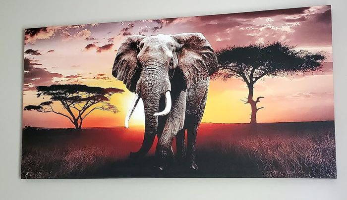 reviewer's artwork depicting an elephant silhouetted against a sunset with trees in the background