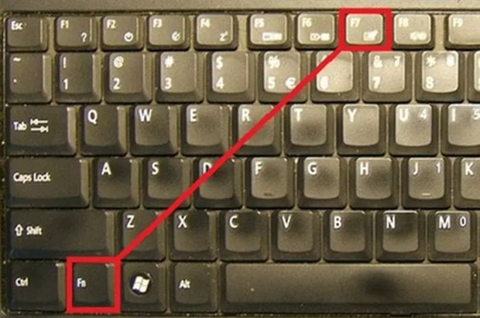 Hướng dẫn cách sử dụng laptop để vô hiệu hóa Touchpad qua phím tắt trên bàn phím