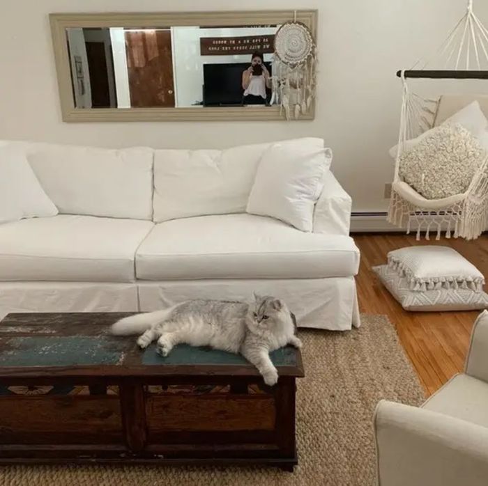 white fabric sofa in living room with a cat lounging on the coffee table