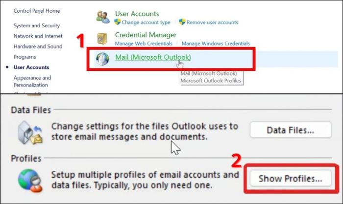 Nhấn chọn Show Profile để mở hồ sơ mail của bạn.