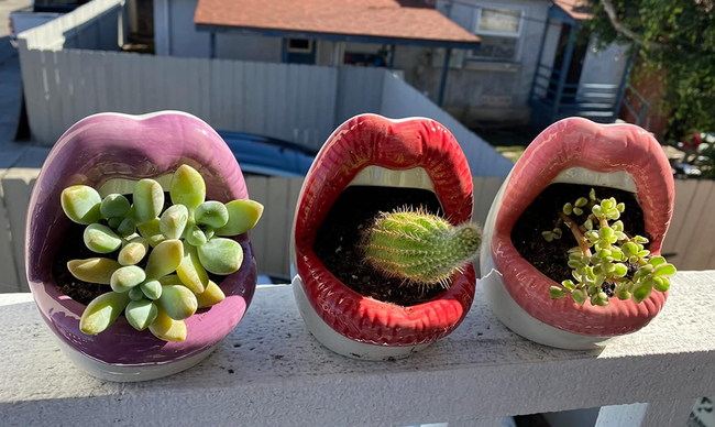 reviewer's three lip planters in purple, red, and pink, with plants sprouting from their open mouths