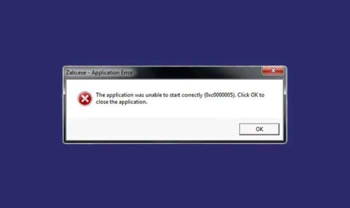 Cửa sổ lỗi 0xc0000005 sẽ xuất hiện khi bạn cố gắng mở chương trình nhưng không thành công.