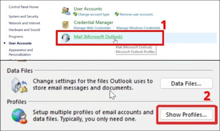 Trong cửa sổ Mail Setup, nhấn vào Show Profile.