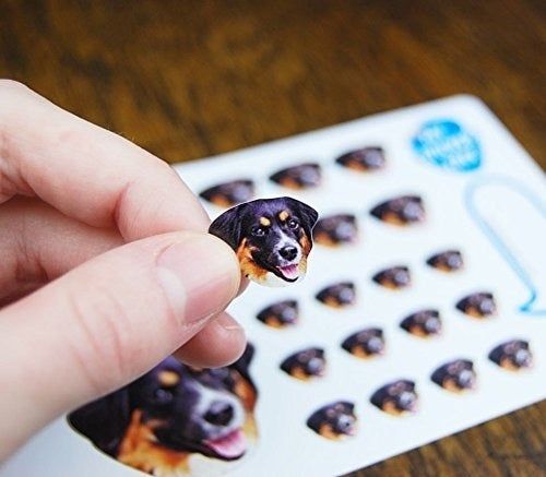 a hand holding a small sticker of a dog’s face, with a full sheet of identical stickers underneath it