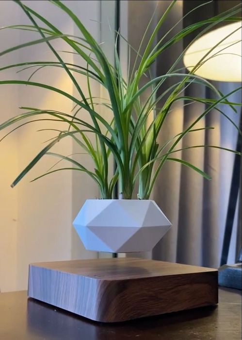 A geometric white planter with a grassy plant floating above a dark-colored wooden base