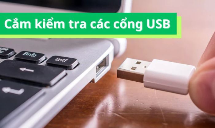 Kiểm tra các cổng USB