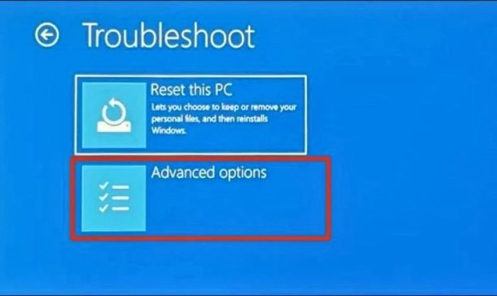 Tại Troubleshoot, bạn chọn mục Advanced options