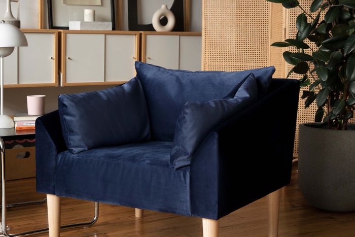 A blue velvet armchair set in a living room surrounded by plants and shelves