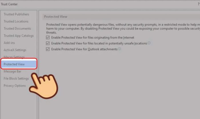 Protected View