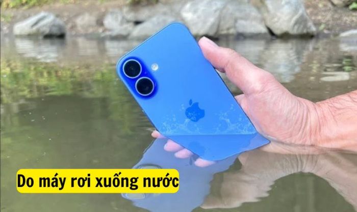 Do máy bị rơi xuống nước