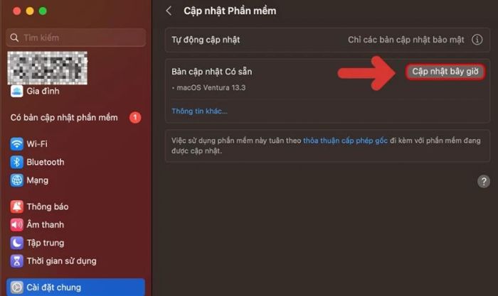 Nhấn vào Update Now để bắt đầu cập nhật
