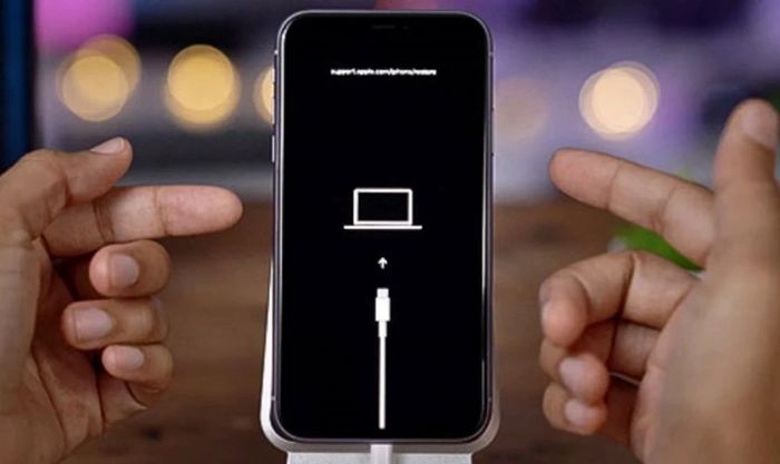 Nhấn cho đến khi máy tính hiển thị thông tin thiết bị trong chế độ Recovery Mode trên iTunes (hoặc Finder nếu bạn sử dụng Mac).