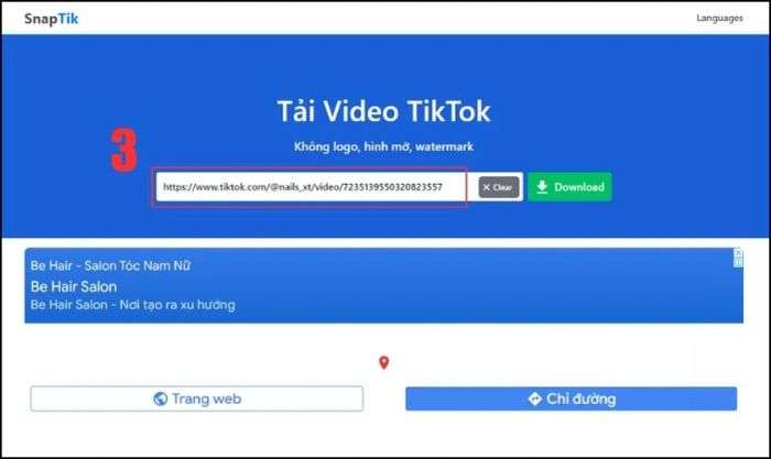 Truy cập web SnapTik và dán liên kết theo hướng dẫn.
