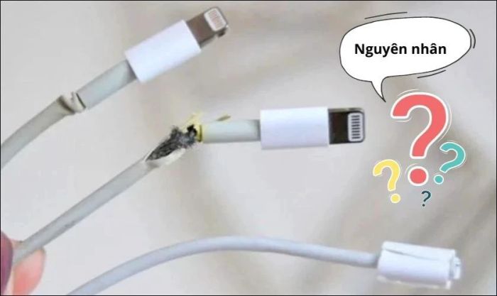 Kiểm tra lại bộ sạc để đảm bảo không bị hỏng hoặc đứt gãy