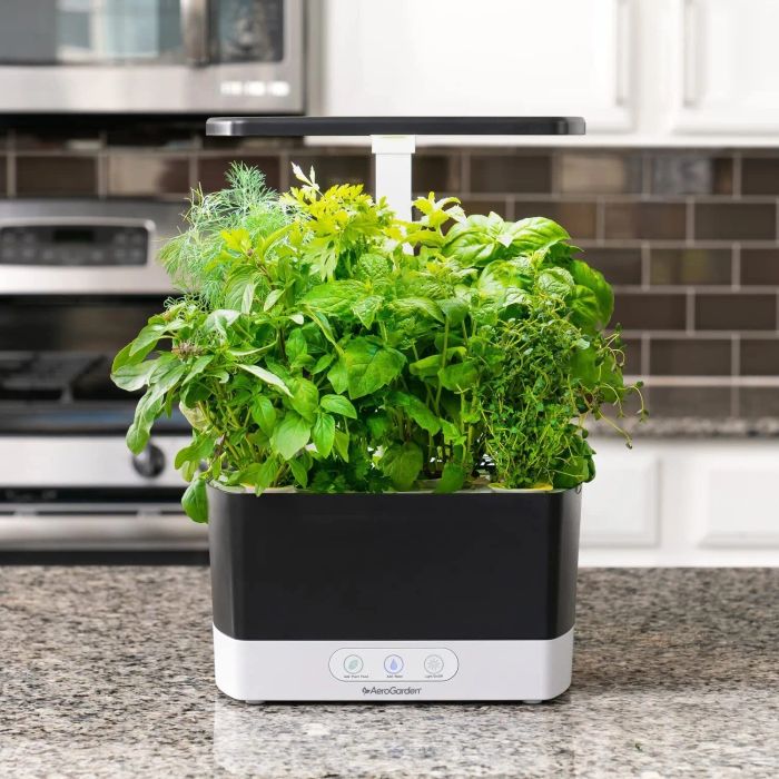 A sleek black indoor herb garden with an abundance of fresh plants sprouting from it.