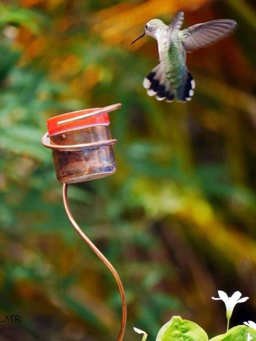 A hummingbird zooming toward the feeder, which is perched on a flower pot.