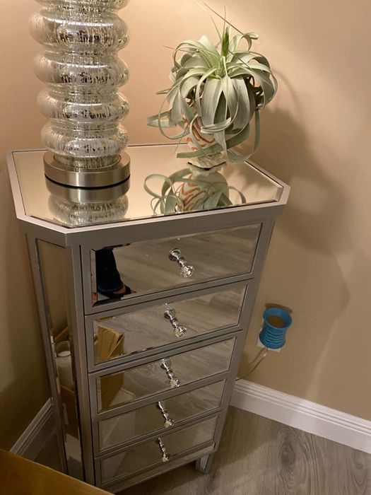 Reviewer's mirrored cabinet styled with a plant and lamp