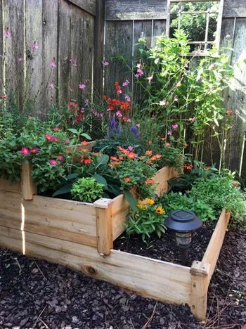 Another reviewer’s garden bed filled with colorful flowers.