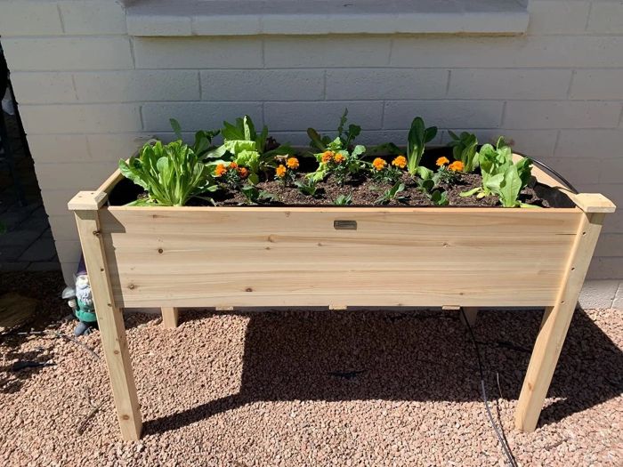 A reviewer’s garden box.