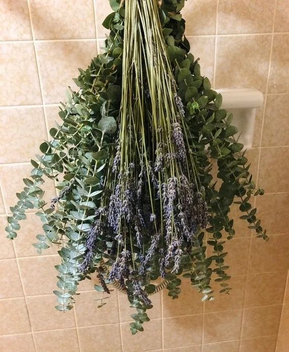 A eucalyptus bundle draped over a shower head