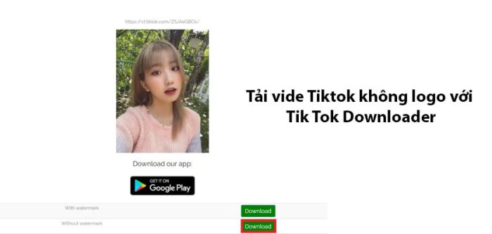 Bước 2: Truy cập vào đường link https://tiktokdownload.online/ bằng cách sao chép và dán chúng vào thanh tìm kiếm của trình duyệt.