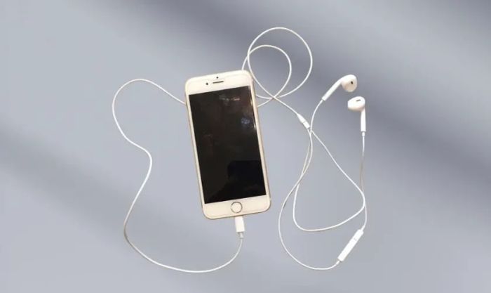 Kiểm tra tai nghe Lightning khi iPhone không nhận kết nối