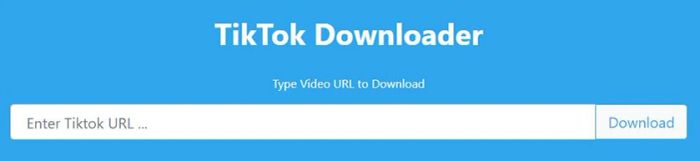Bước 2: Truy cập vào website https://downloaderi.com để tải video TikTok không logo.