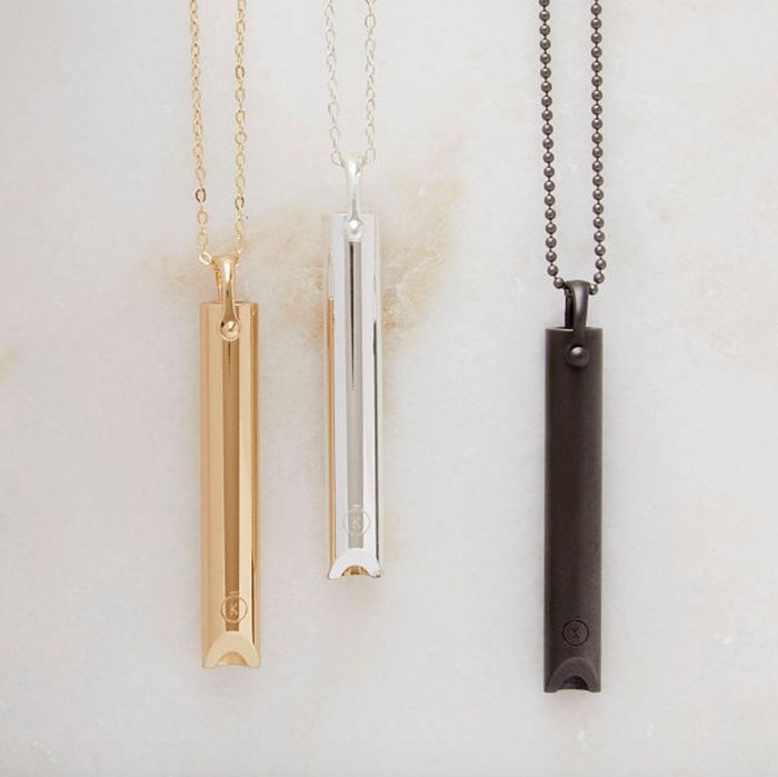 The necklace