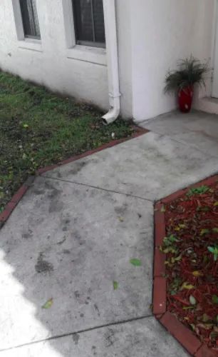 A before image showing a walkway overgrown with grass prior to using the outdoor cleaner.