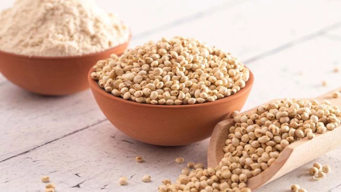 Sprouted flour