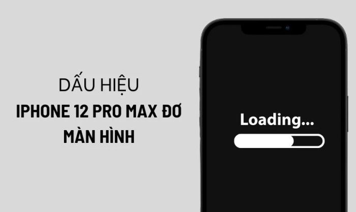 Dấu hiệu nhận biết iPhone 12 Pro Max bị giật màn hình