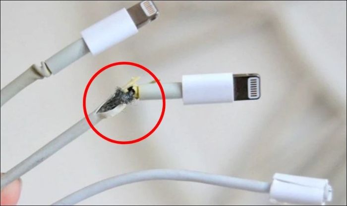 Dây cáp bị đứt là nguyên nhân thường gặp nhất khi iPhone 13 không sạc được