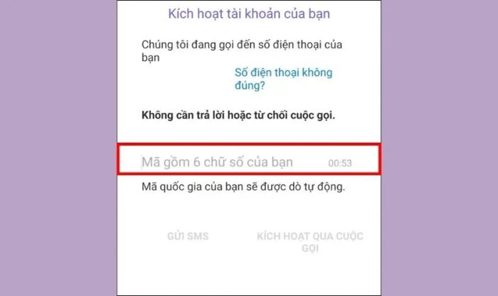 Cách xử lý khi Viber không kích hoạt được