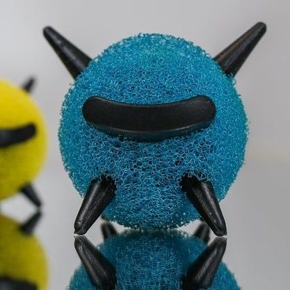 A close-up of the sponge showing its texture