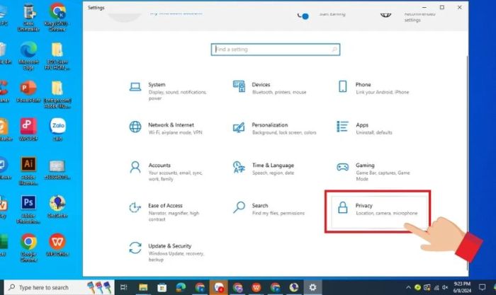 Chọn Privacy trong tab Settings
