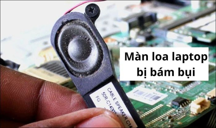 Lý do loa laptop Dell bị rè