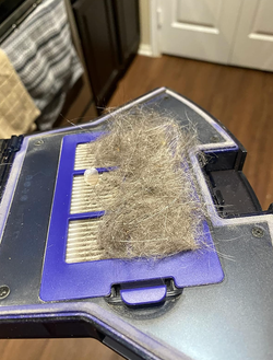 A vacuum filter filled with pet hair, illustrating the importance of regularly cleaning household appliances