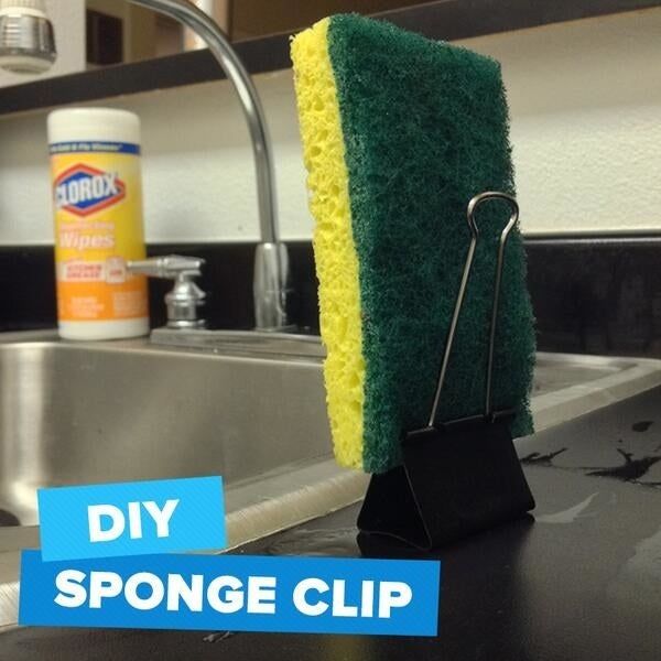 sponge supported by a large binder clip