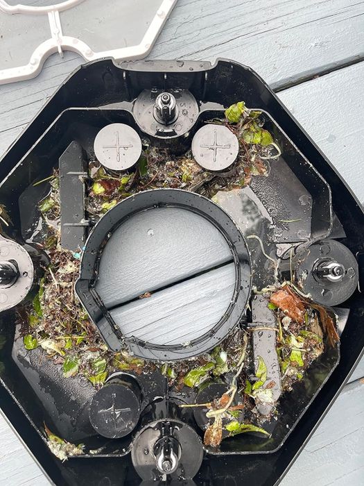 A reviewer's image showing the debris the robot picked up from their pool