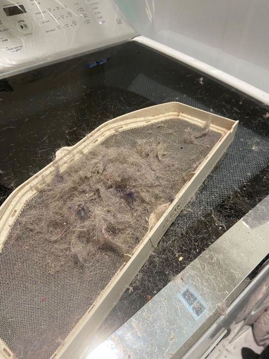 A pile of lint collected by a reviewer after cleaning the hidden nooks of their lint trap.