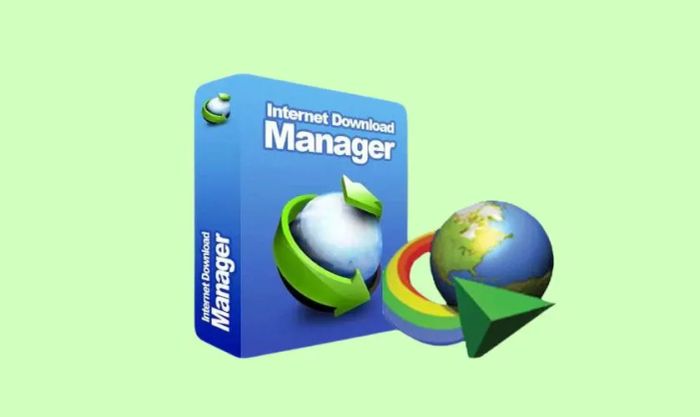 IDM là gì? Nguyên nhân khiến IDM không thể bắt link tải trên Chrome