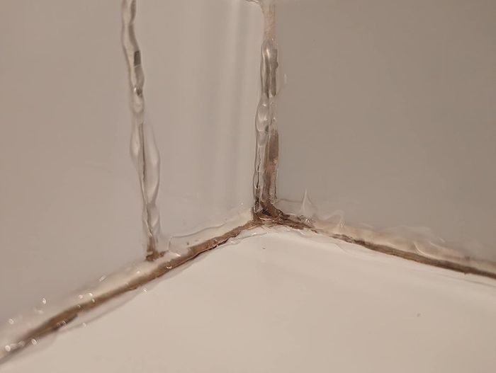 A reviewer's tile before, with dark mold staining the grout.