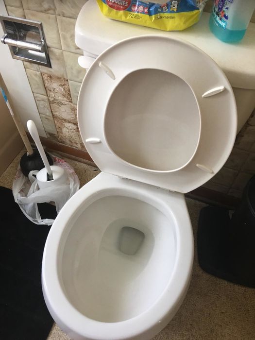 After: the same toilet, now pristine with no stains visible.