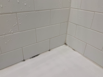 A reviewer's photo showing mold on a shower wall