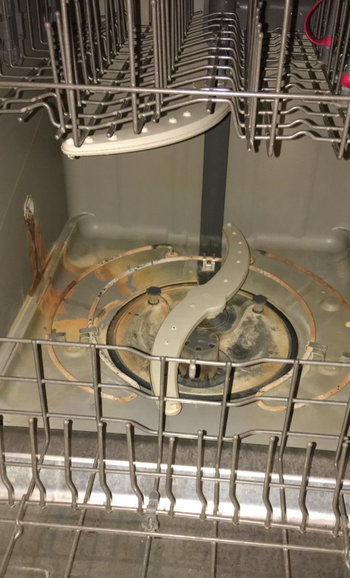 A photo of a reviewer's dishwasher before cleaning, looking dirty