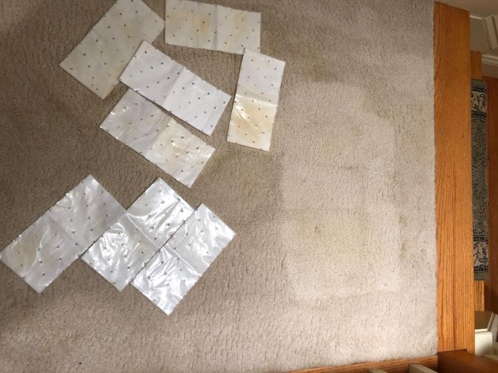 Reviewer’s rug with Stomp N' Go pads showing how effectively they removed the stains